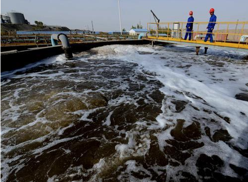 （圖：動(dòng)物屠宰廢水泡沫現(xiàn)場）