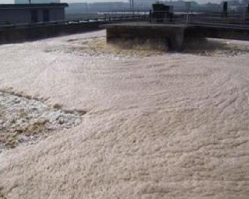(圖:好氧池污水泡沫危害)