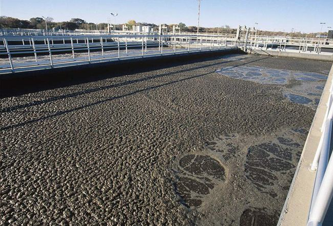 (圖:生化水處理泡沫場(chǎng)景)