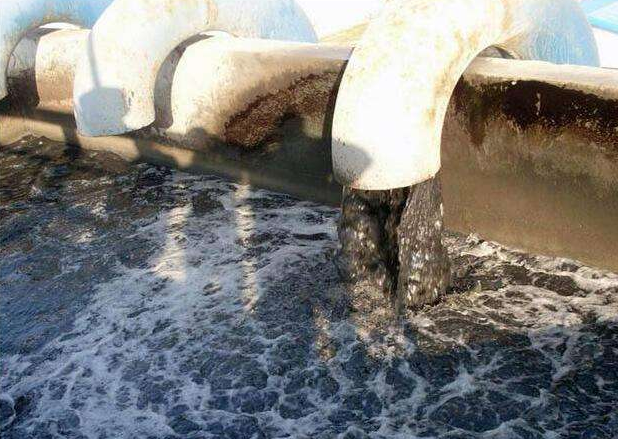 (圖:養(yǎng)殖場污水泡沫處理池)