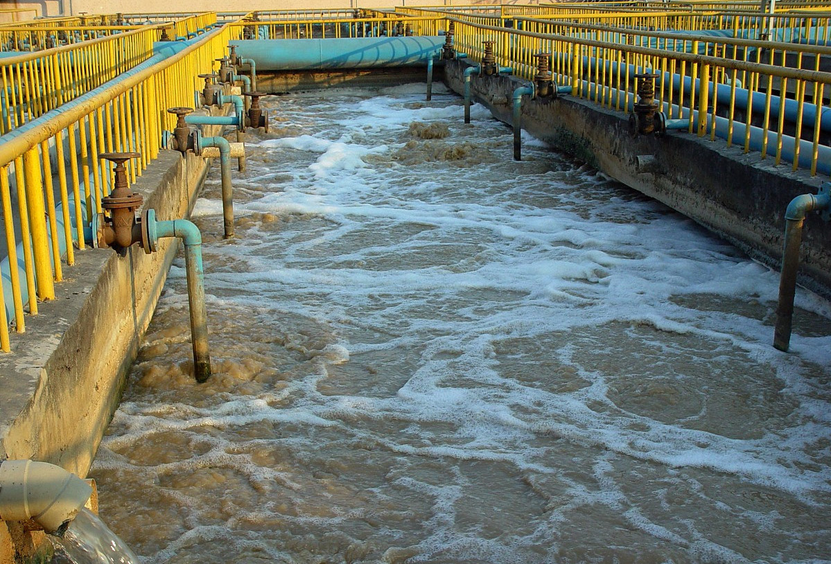 (圖:養(yǎng)殖場污水泡沫池)