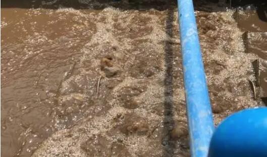 (圖:南輝客戶(hù)生化污水池起泡場(chǎng)景)