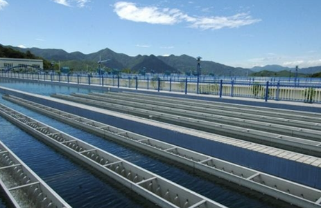 (生物水處理消泡劑應(yīng)用場景)